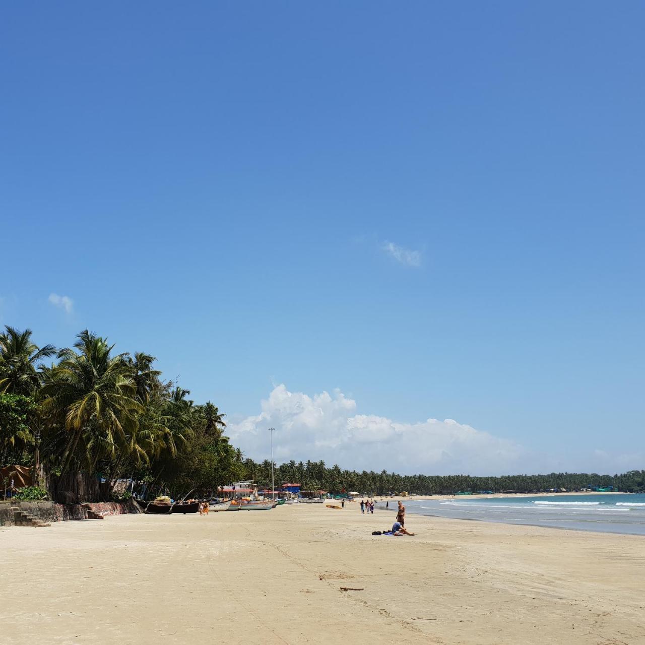 Palm Forest Palolem Dış mekan fotoğraf