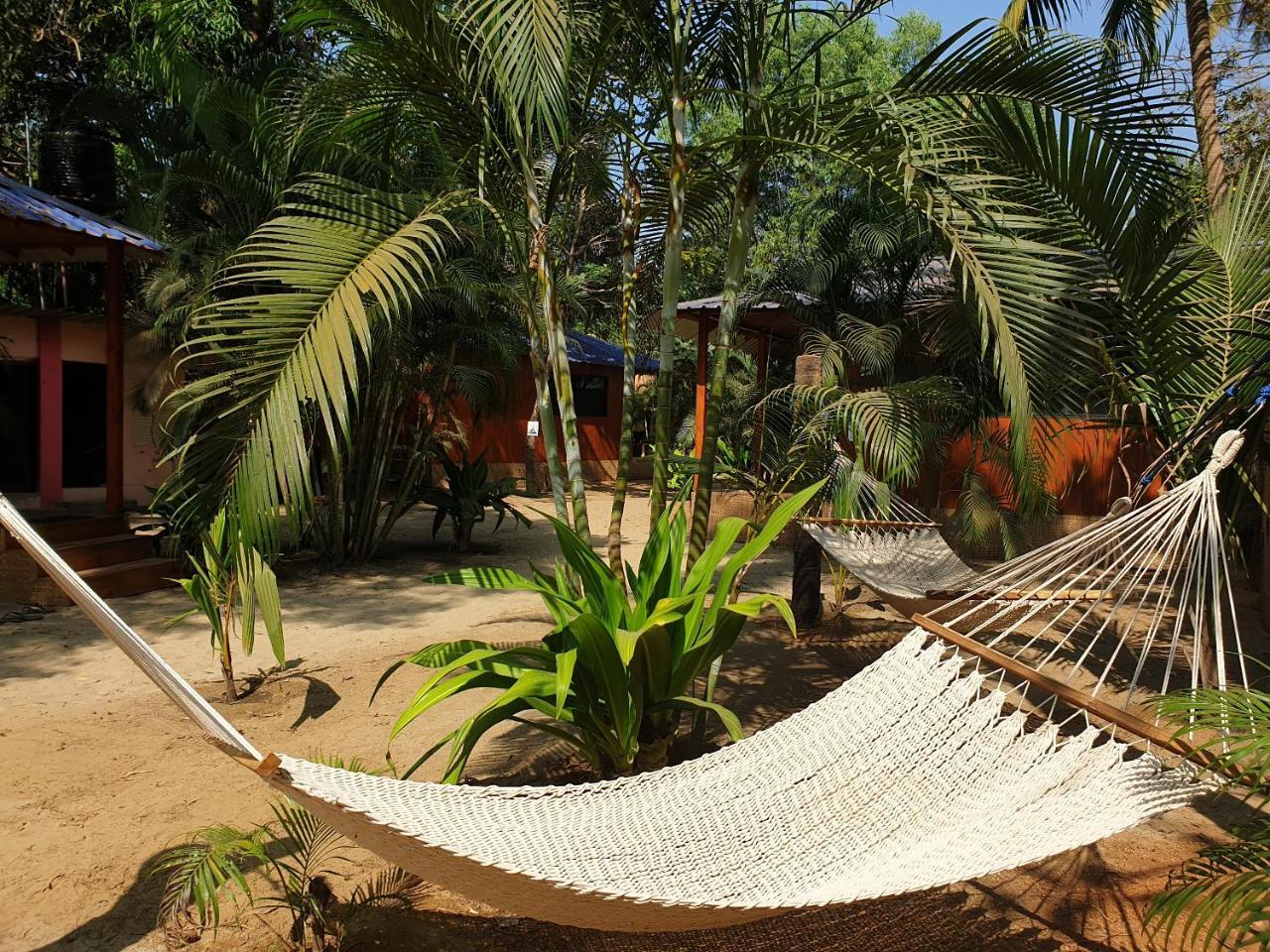 Palm Forest Palolem Dış mekan fotoğraf
